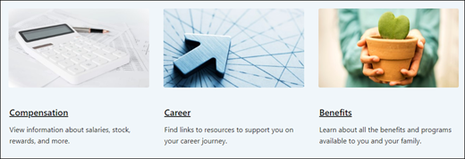 Preview of the Text and Image web part.