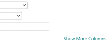 If you need to add another entry to your filter definition, select Show more columns.