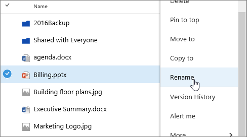 Ellipse menu with Rename highlighted
