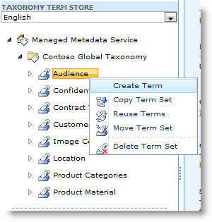 Menu displaying actions you can take on a term set
