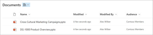 Your audiences appear in the Audience column in your Document library.