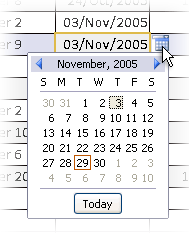 The calendar control.