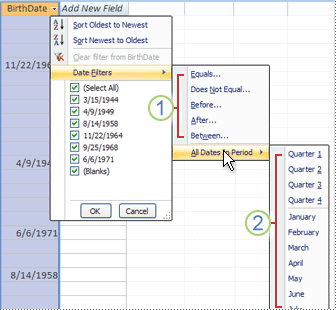 Filtering on a date field