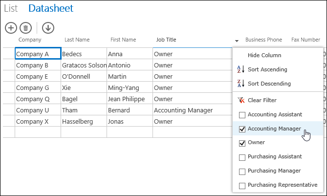 Filter options for Job Title column in datasheet
