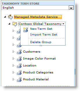 Use the menu to create a new term set.