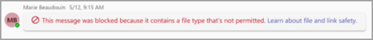 Screenshot showing a warning message about a potentially dangerous file type shared in Microsoft Teams.