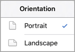 iPad Orientation menu with Portrait selected