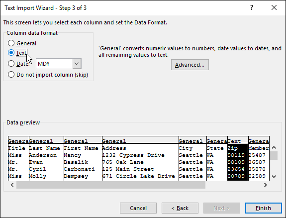 The Text option for Column data format is highlighted in the Text Import Wizard.