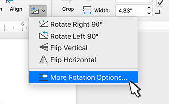 More rotation options menu item
